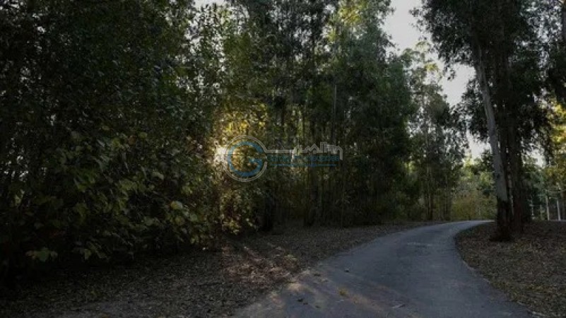 OPORTUNIDAD LOTE CAMPO TIMBO. Entrega y cuotas en pesos. Posesion inmediata