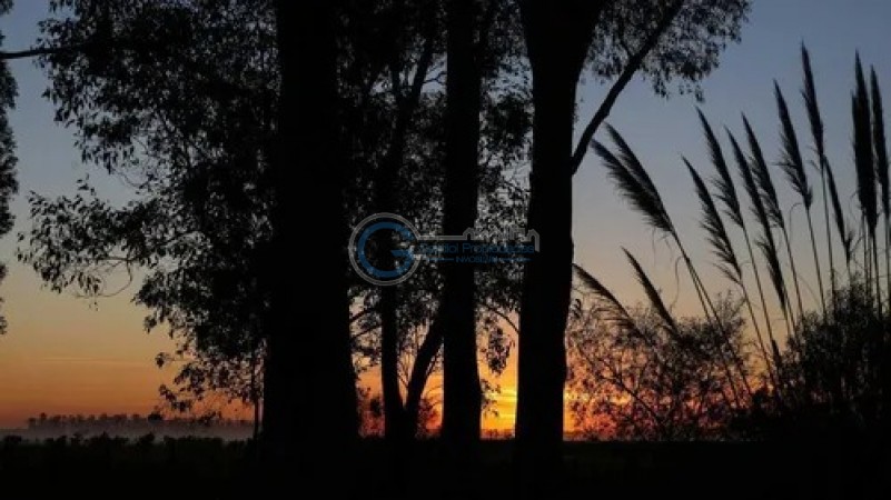 OPORTUNIDAD LOTE CAMPO TIMBO. Entrega y cuotas en pesos. Posesion inmediata