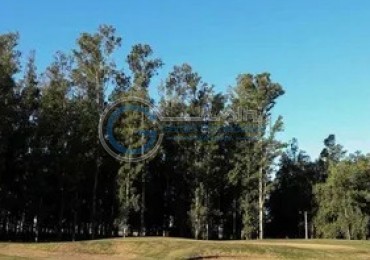 OPORTUNIDAD LOTE CAMPO TIMBO. Entrega y cuotas en pesos. Posesion inmediata